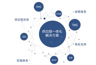 物流信息化領(lǐng)跑者 唯智信息助力制造業(yè)供應(yīng)鏈管理轉(zhuǎn)型升級